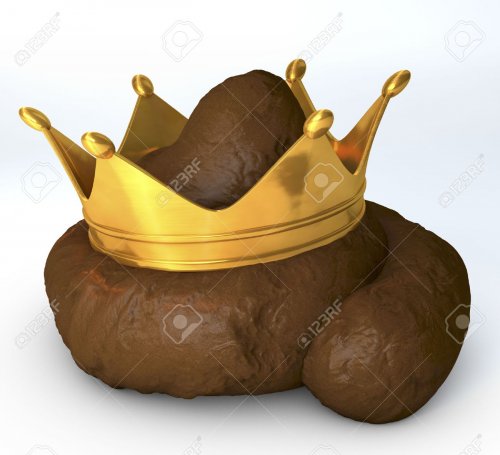 27182813-crap-shit-poo-with-crown-on-top-Stock-Photo.jpg