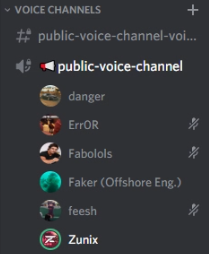 participant in voice.png