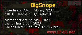 Player statistics userbar for BigSnope