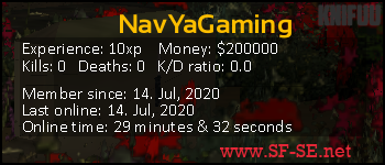 Player statistics userbar for NavYaGaming