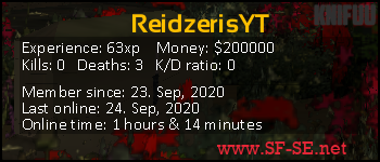 Player statistics userbar for ReidzerisYT