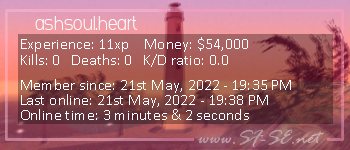 Player statistics userbar for ashsoul.heart