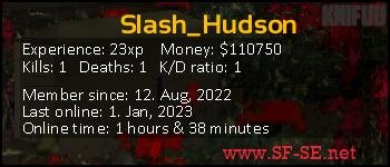 Player statistics userbar for Slash_Hudson