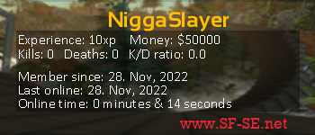 Player statistics userbar for NiggaSlayer