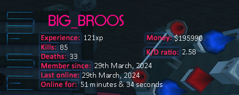 Player statistics userbar for BIG_BROOS