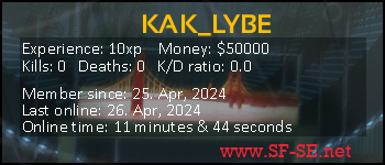 Player statistics userbar for KAK_LYBE